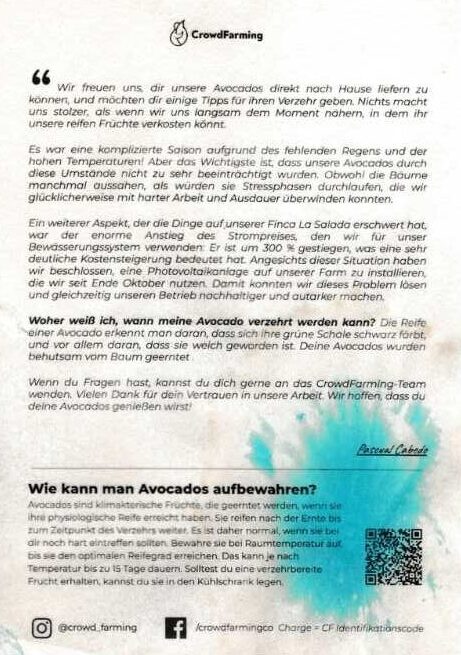 Avocados von Crowdfarming Tipps zur Aufbewahrung